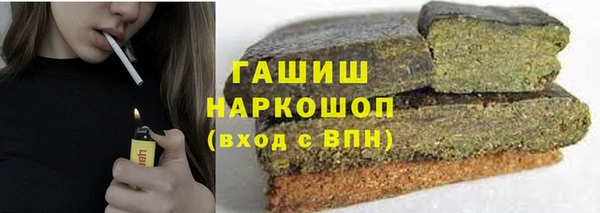 гашик Алексин