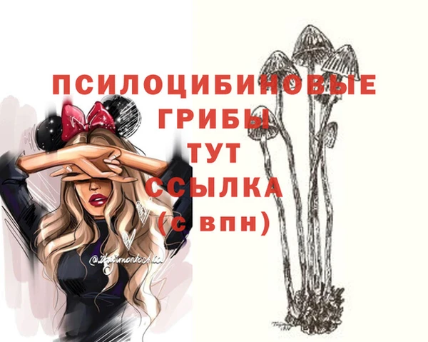 бошки Абдулино