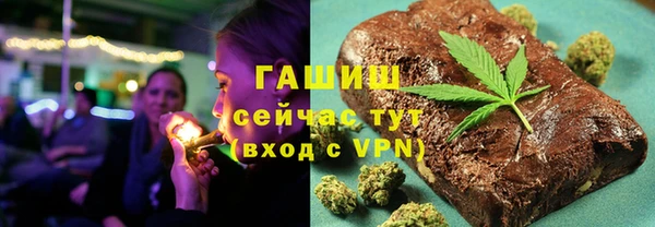 гашик Алексин