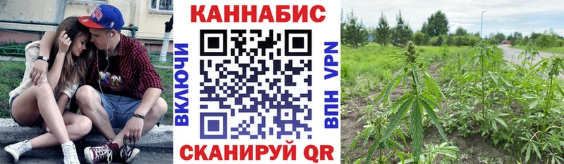 Конопля конопля  kraken ССЫЛКА  Стрежевой 